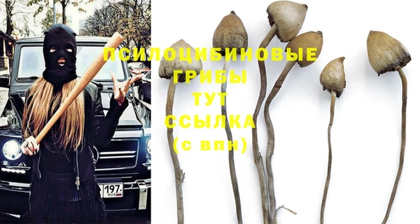 герыч Абаза