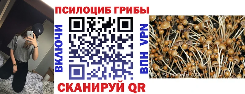 Псилоцибиновые грибы мухоморы  Старый Крым 